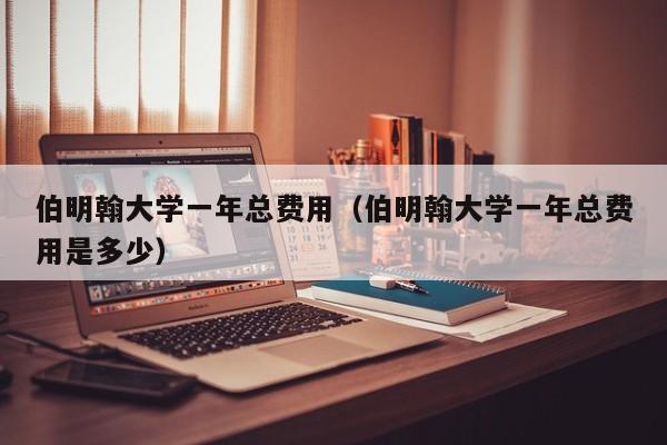 伯明翰大学一年总费用（伯明翰大学一年总费用是多少）