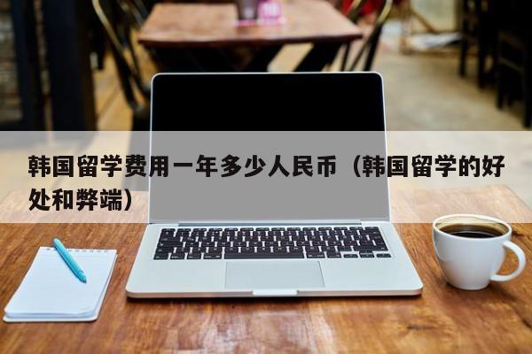 韩国留学费用一年多少人民币（韩国留学的好处和弊端）