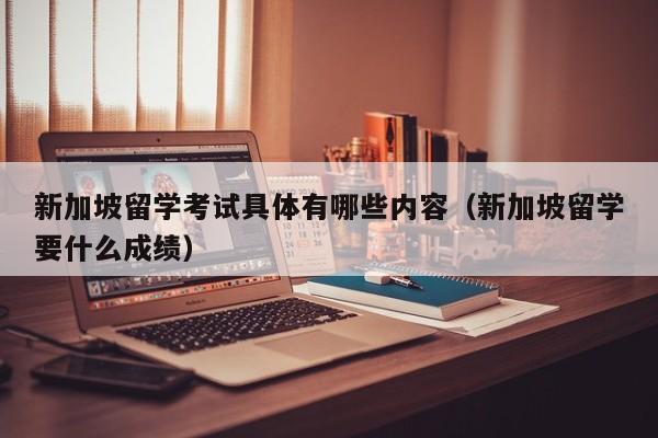 新加坡留学考试具体有哪些内容（新加坡留学要什么成绩）