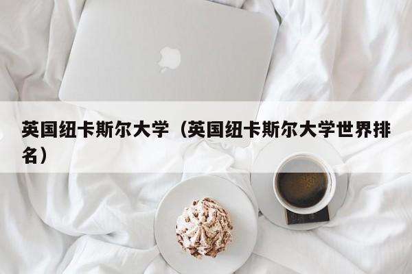 英国纽卡斯尔大学（英国纽卡斯尔大学世界排名）