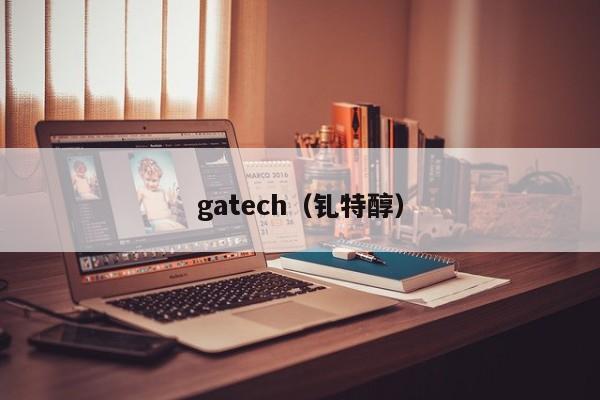 gatech（钆特醇）