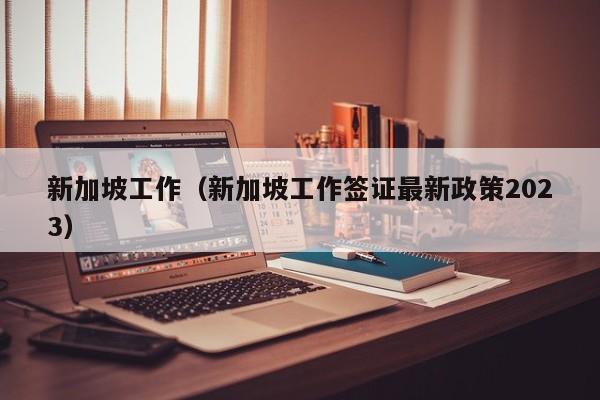 新加坡工作（新加坡工作签证最新政策2023）