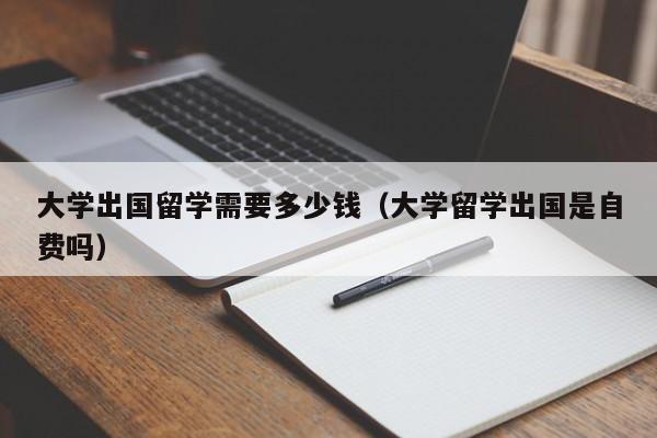 大学出国留学需要多少钱（大学留学出国是自费吗）