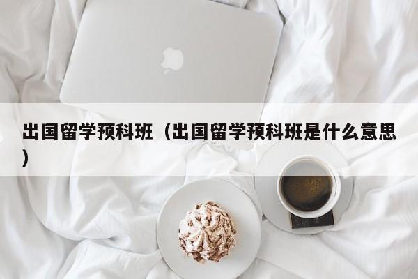 出国留学预科班（出国留学预科班是什么意思）