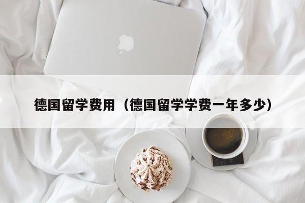 德国留学费用（德国留学学费一年多少）