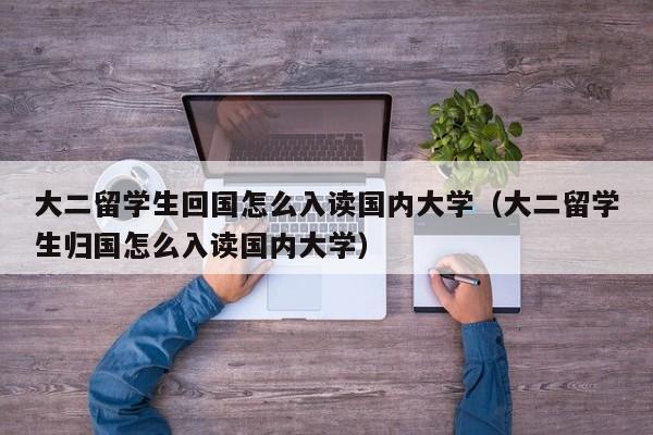 大二留学生回国怎么入读国内大学（大二留学生归国怎么入读国内大学）