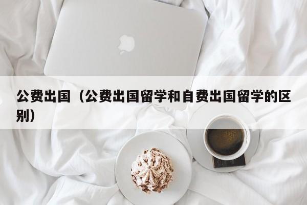 公费出国（公费出国留学和自费出国留学的区别）