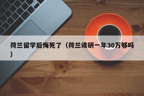 荷兰留学后悔死了（荷兰读研一年30万够吗）