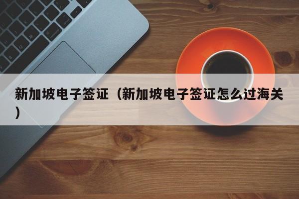 新加坡电子签证（新加坡电子签证怎么过海关）