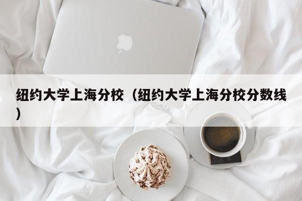 纽约大学上海分校（纽约大学上海分校分数线）