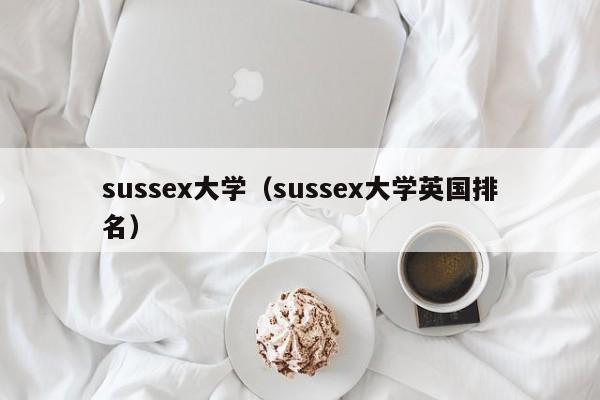 sussex大学（sussex大学英国排名）