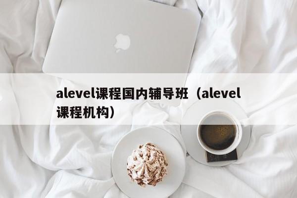 alevel课程国内辅导班（alevel课程机构）