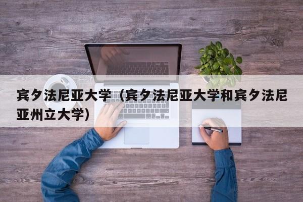 宾夕法尼亚大学（宾夕法尼亚大学和宾夕法尼亚州立大学）