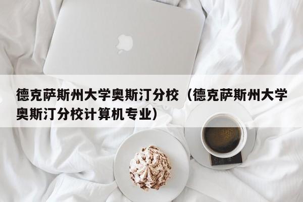 德克萨斯州大学奥斯汀分校（德克萨斯州大学奥斯汀分校计算机专业）