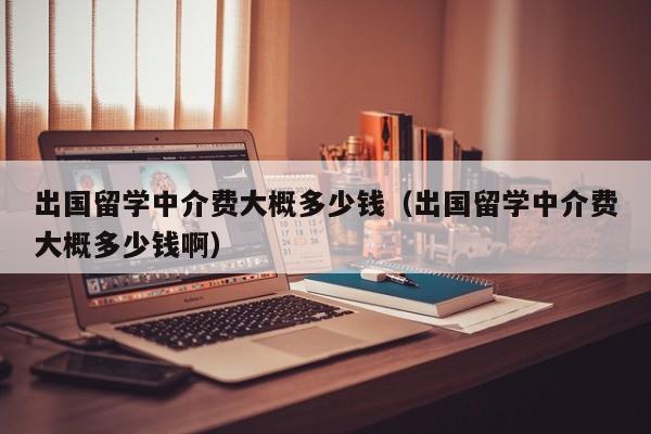 出国留学中介费大概多少钱（出国留学中介费大概多少钱啊）