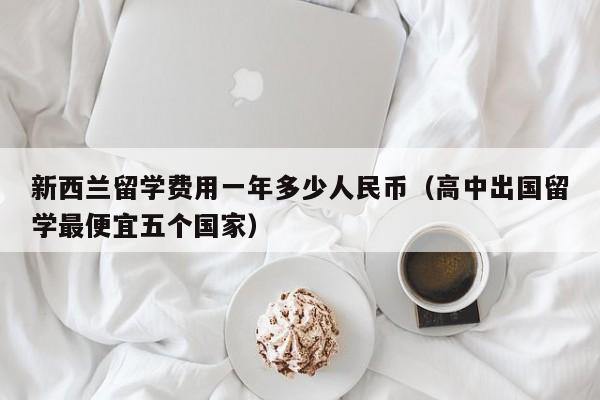 新西兰留学费用一年多少人民币（高中出国留学最便宜五个国家）