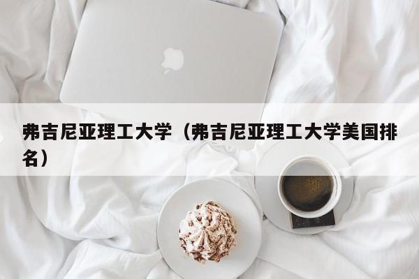 弗吉尼亚理工大学（弗吉尼亚理工大学美国排名）
