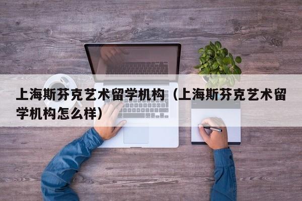 上海斯芬克艺术留学机构（上海斯芬克艺术留学机构怎么样）