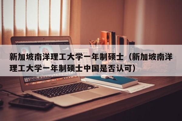 新加坡南洋理工大学一年制硕士（新加坡南洋理工大学一年制硕士中国是否认可）