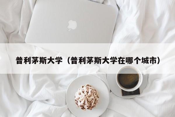 普利茅斯大学（普利茅斯大学在哪个城市）