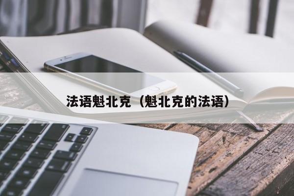 法语魁北克（魁北克的法语）