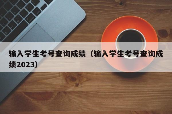 输入学生考号查询成绩（输入学生考号查询成绩2023）