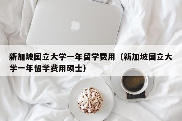 新加坡国立大学一年留学费用（新加坡国立大学一年留学费用硕士）