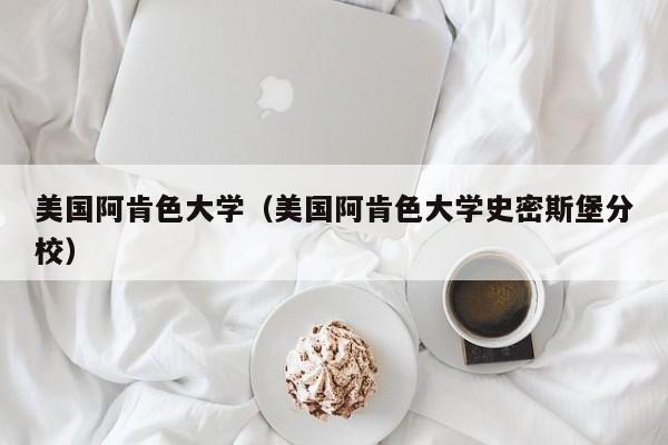美国阿肯色大学（美国阿肯色大学史密斯堡分校）