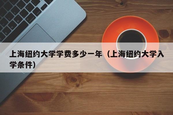 上海纽约大学学费多少一年（上海纽约大学入学条件）