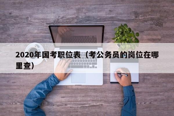 2020年国考职位表（考公务员的岗位在哪里查）
