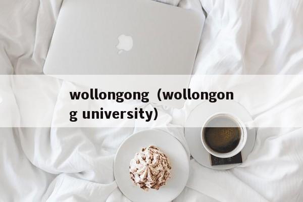 wollongong（wollongong university）