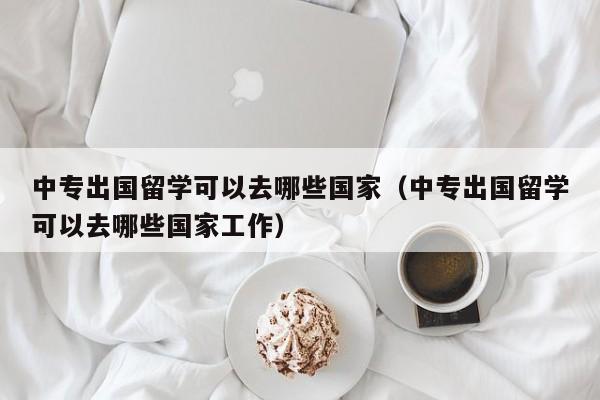 中专出国留学可以去哪些国家（中专出国留学可以去哪些国家工作）