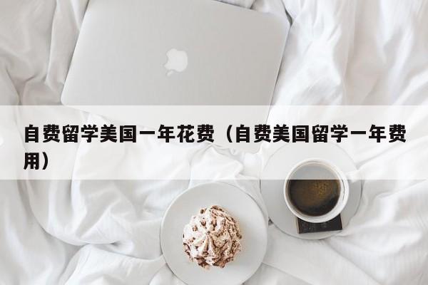 自费留学美国一年花费（自费美国留学一年费用）