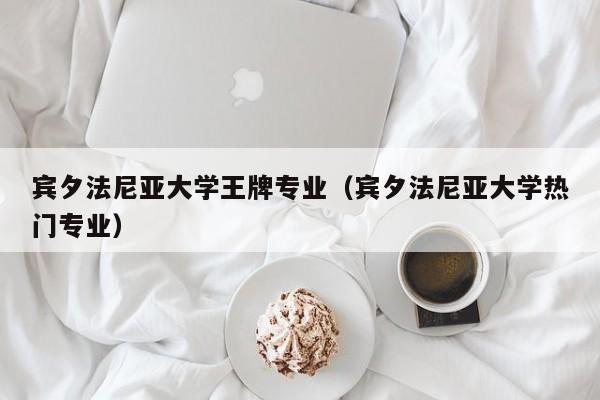 宾夕法尼亚大学王牌专业（宾夕法尼亚大学热门专业）