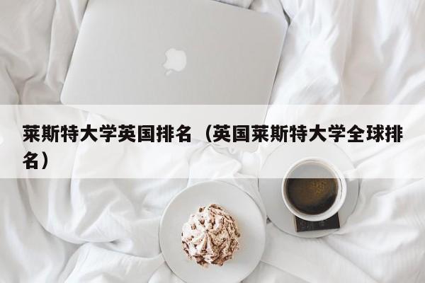 莱斯特大学英国排名（英国莱斯特大学全球排名）