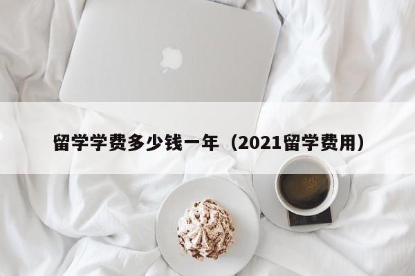 留学学费多少钱一年（2021留学费用）