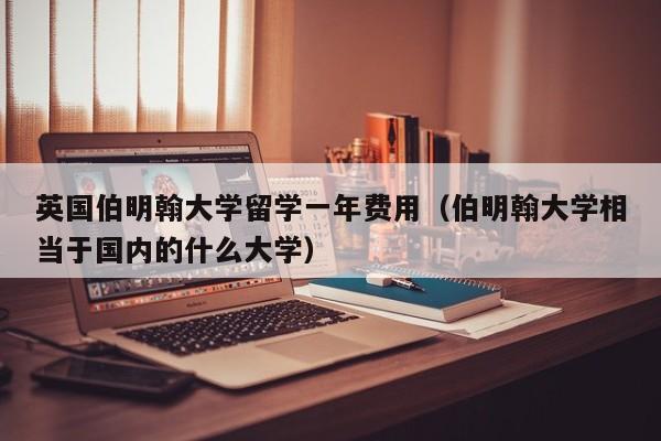 英国伯明翰大学留学一年费用（伯明翰大学相当于国内的什么大学）