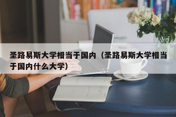 圣路易斯大学相当于国内（圣路易斯大学相当于国内什么大学）