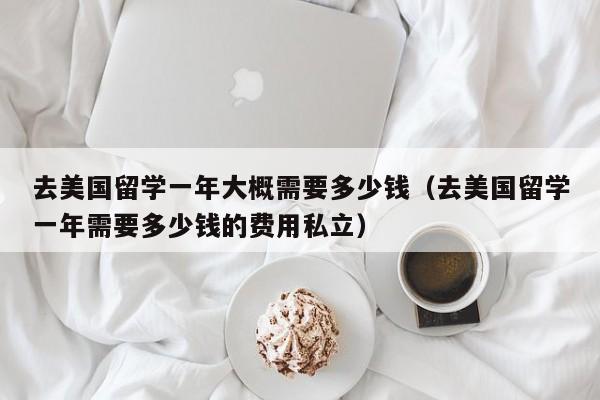 去美国留学一年大概需要多少钱（去美国留学一年需要多少钱的费用私立）