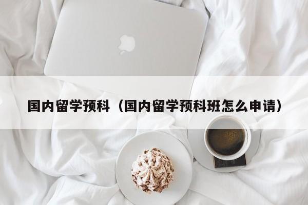 国内留学预科（国内留学预科班怎么申请）