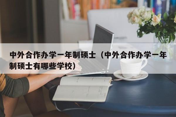 中外合作办学一年制硕士（中外合作办学一年制硕士有哪些学校）