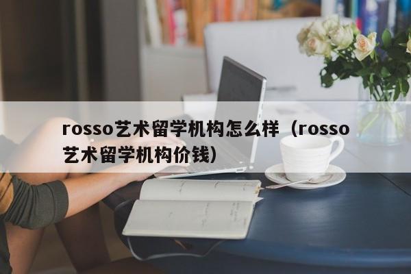 rosso艺术留学机构怎么样（rosso艺术留学机构价钱）