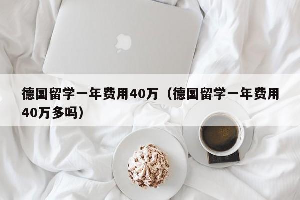 德国留学一年费用40万（德国留学一年费用40万多吗）