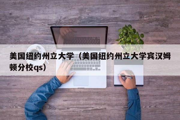 美国纽约州立大学（美国纽约州立大学宾汉姆顿分校qs）