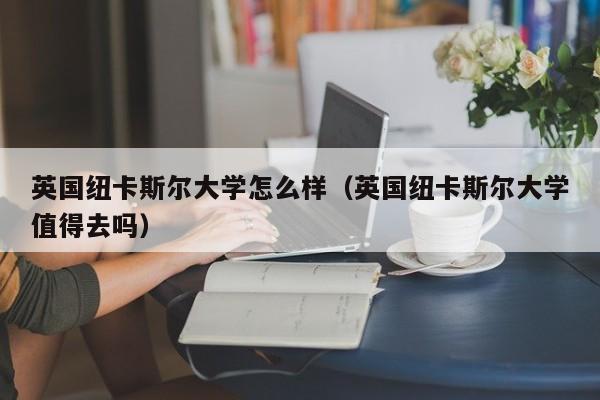 英国纽卡斯尔大学怎么样（英国纽卡斯尔大学值得去吗）