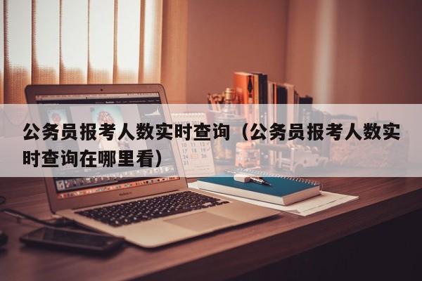 公务员报考人数实时查询（公务员报考人数实时查询在哪里看）