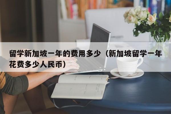 留学新加坡一年的费用多少（新加坡留学一年花费多少人民币）