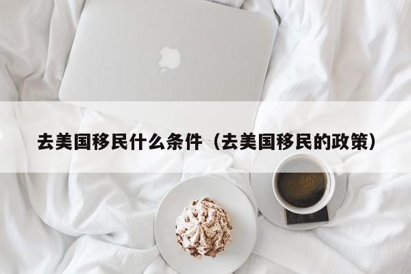 去美国移民什么条件（去美国移民的政策）