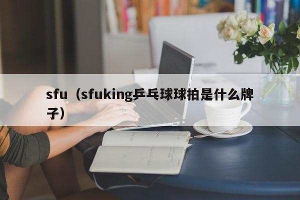 sfu（sfuking乒乓球球拍是什么牌子）