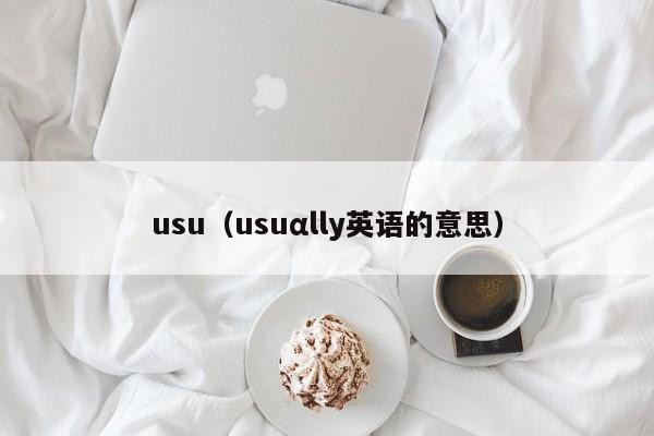 usu（usuαlly英语的意思）